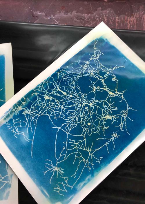 Neuronal cell print 2